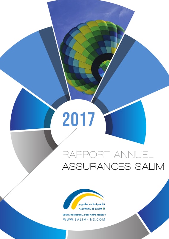 Rapport annuel  2017